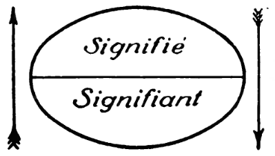 A chain segmented into units, each an articulus